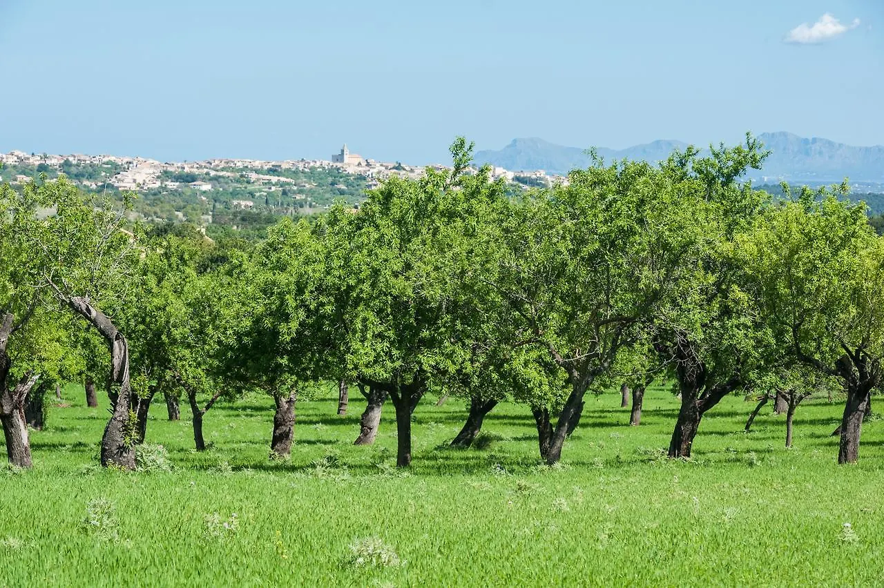 La Bisbal Villa Selva  0*, Selva (Mallorca) Spanien