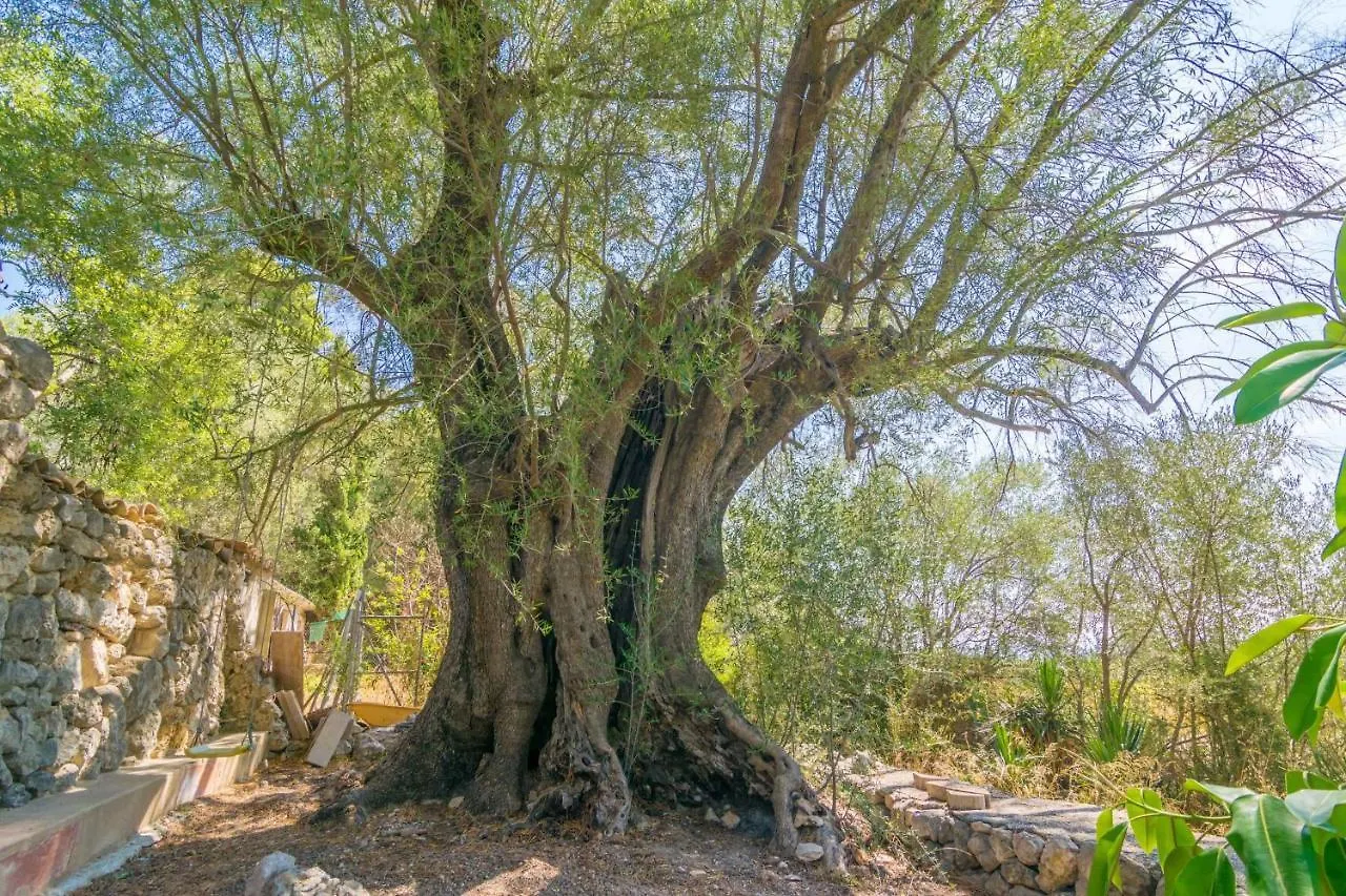 La Bisbal Villa Selva   Selva (Mallorca)