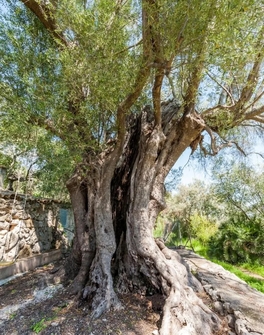 La Bisbal Villa Selva